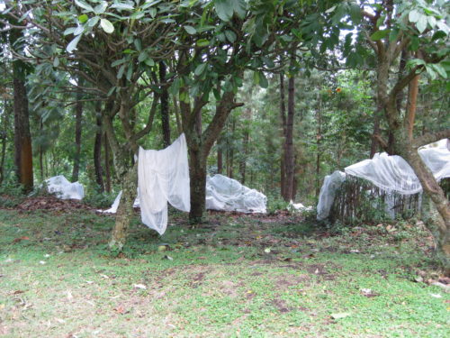 mosquito nets must be aired before use